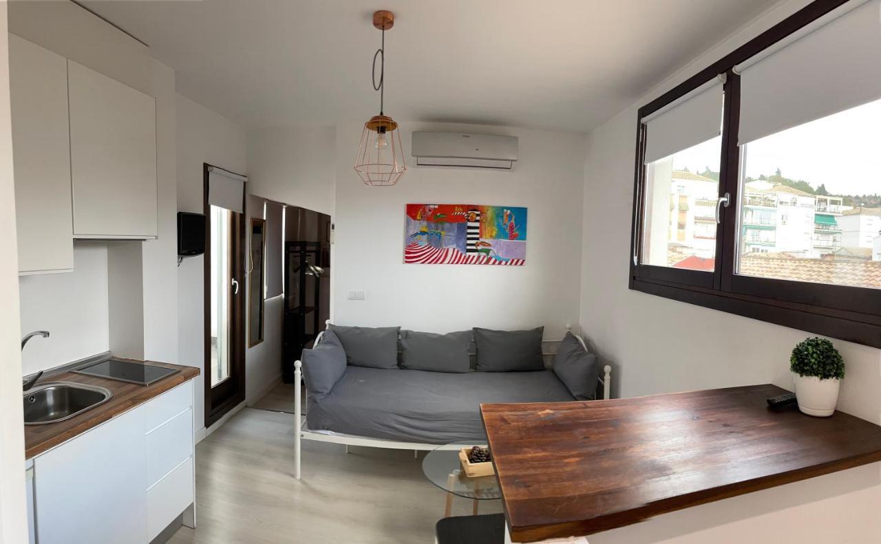 Atico. Centro. Penthouse Apartment Granada Exterior photo